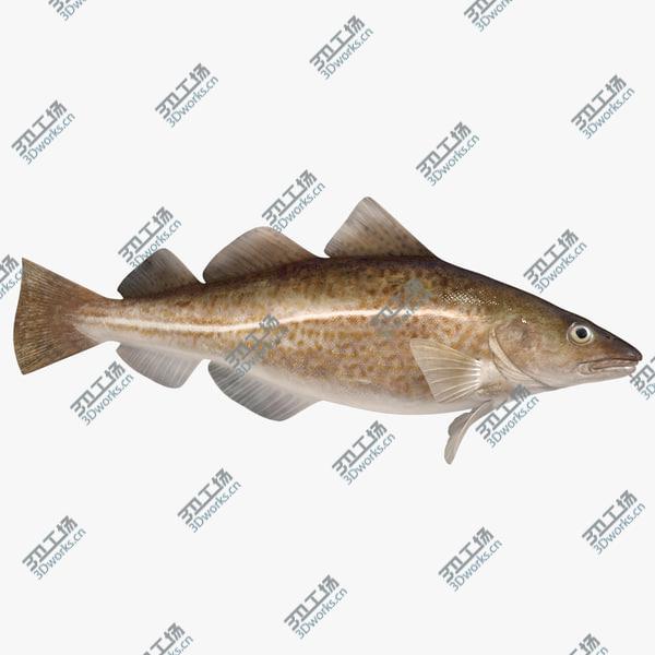 images/goods_img/20210312/Cod (Animated)/1.jpg